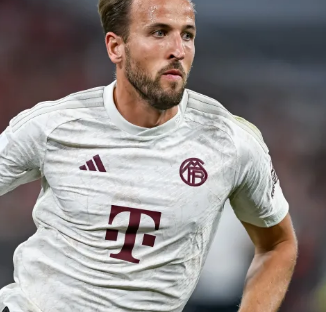 各支球队在 各支球队在