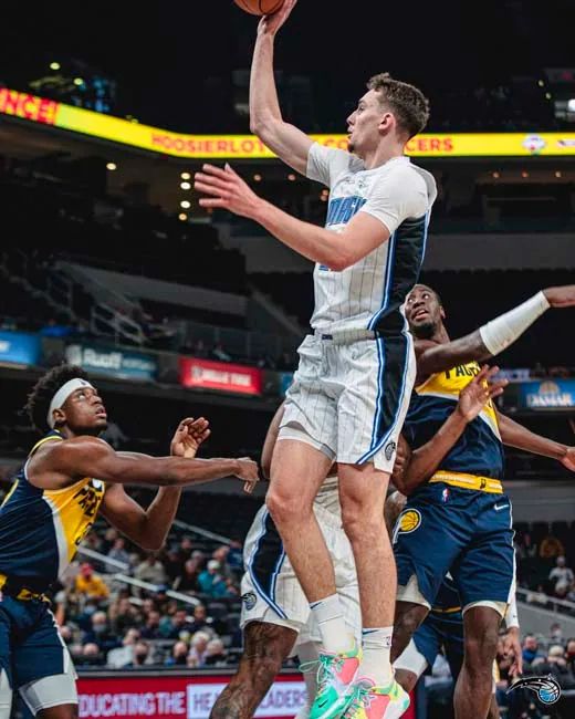 的阵容来看 的阵容来看