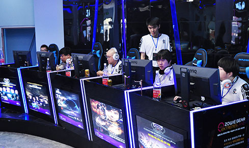 它们反映了 它们反映了