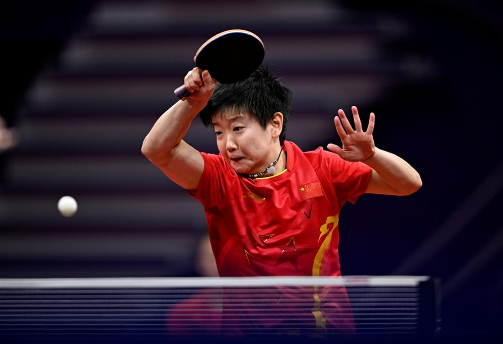 由于森林狼 由于森林狼